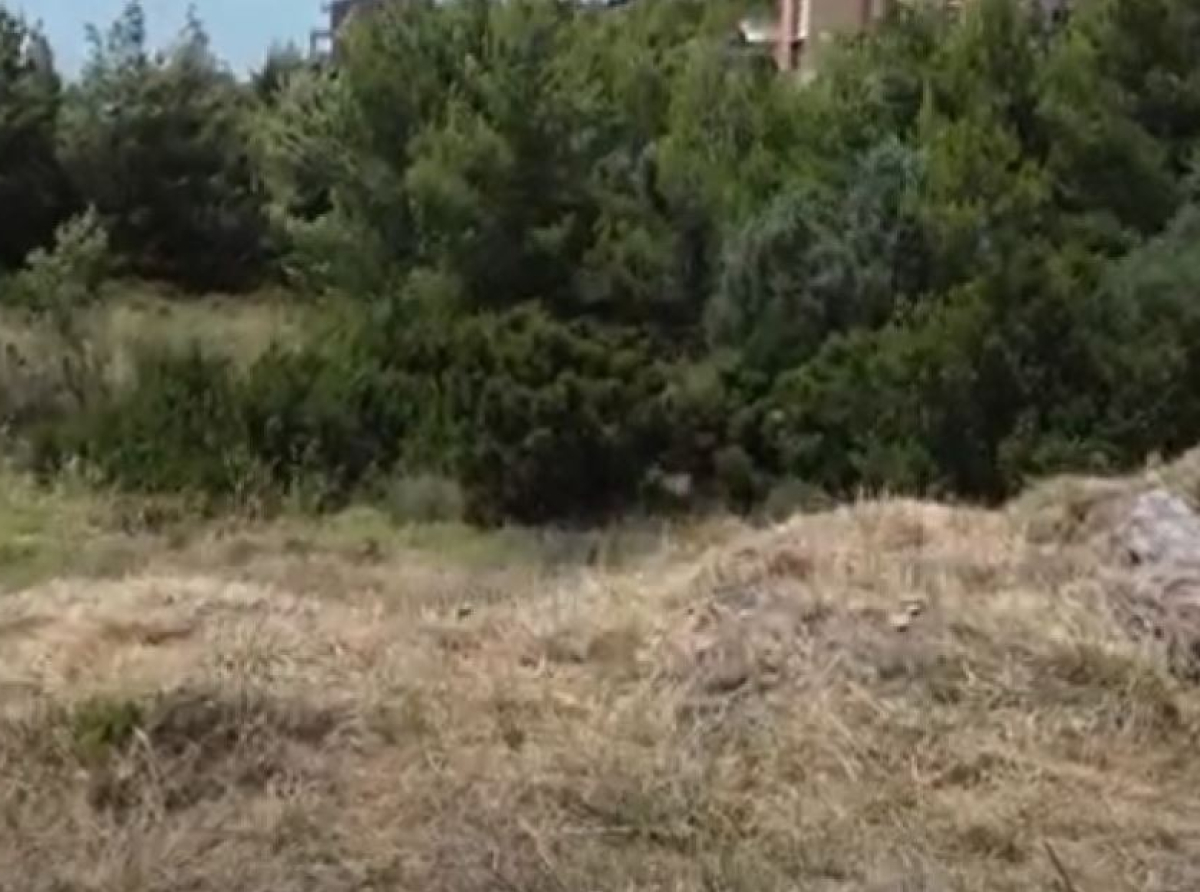 Ακαθάριστα οικόπεδα: Ποιοι έχουν υποχρέωση να κάνουν δήλωση και ποιοι εξαιρούνται