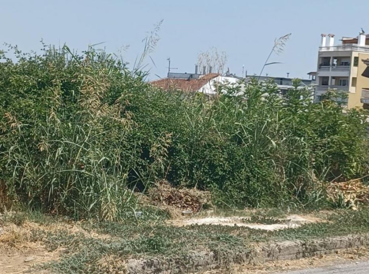 Ακαθάριστα Οικόπεδα: Τέλος χρόνου για τις δηλώσεις – Έρχονται πρόστιμα – Ποιες είναι οι υποχρεώσεις των Δήμων