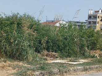 Ακαθάριστα Οικόπεδα: Τέλος χρόνου για τις δηλώσεις – Έρχονται πρόστιμα – Ποιες είναι οι υποχρεώσεις των Δήμων