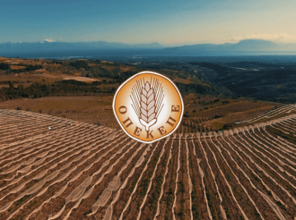 ΟΠΕΚΕΠΕ: Αντίστροφη μέτρηση για την καταβολή της βασικής ενίσχυσης σε αγρότες και κτηνοτρόφους – Όλες οι τελευταίες πληροφορίες